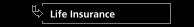 Life Insurance